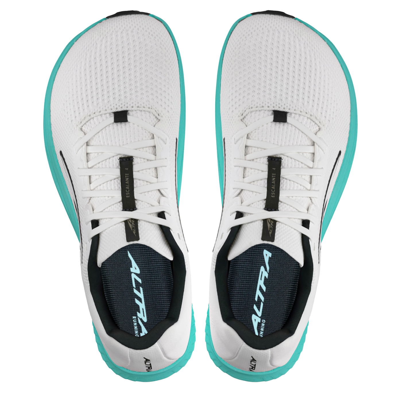 Women's Escalante 4