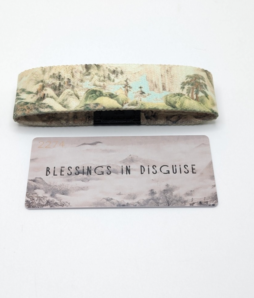 Blessings Inn Disguise