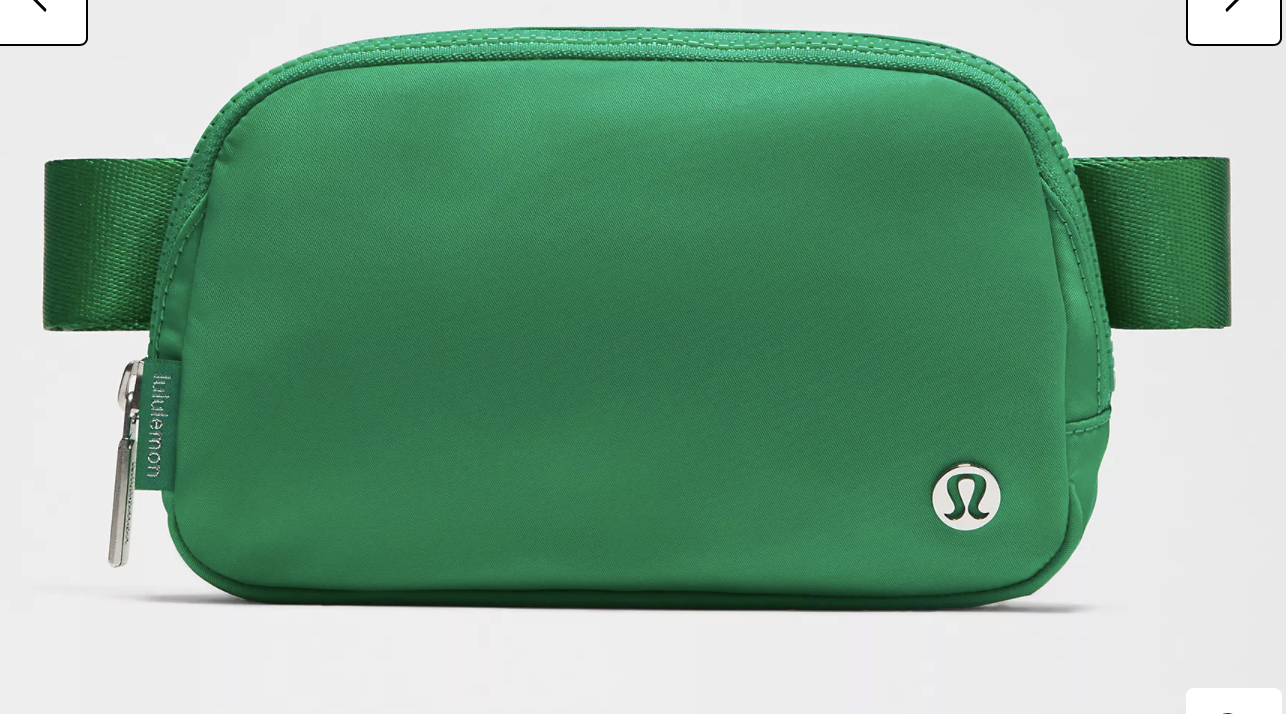 Everywhere Belt Bag 1L