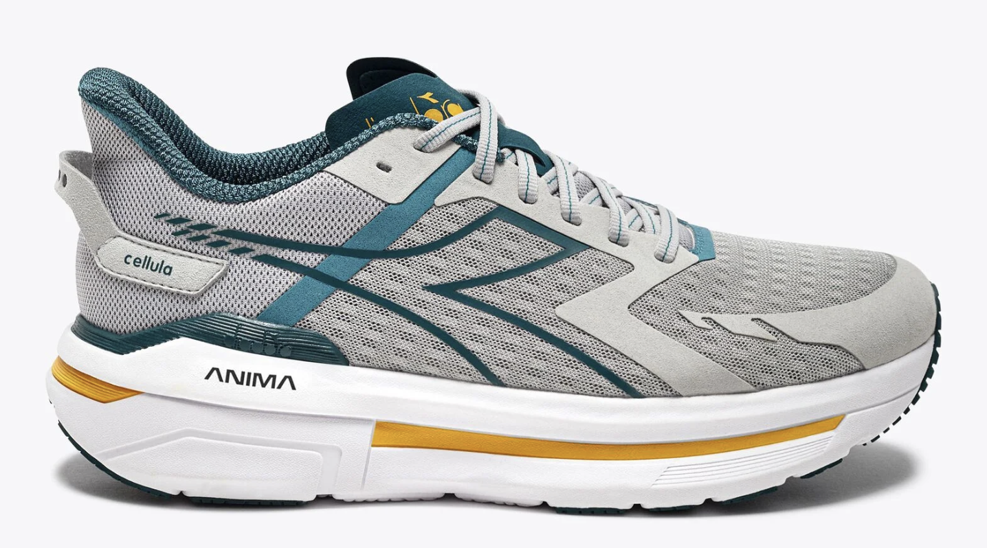 Men's Cellula