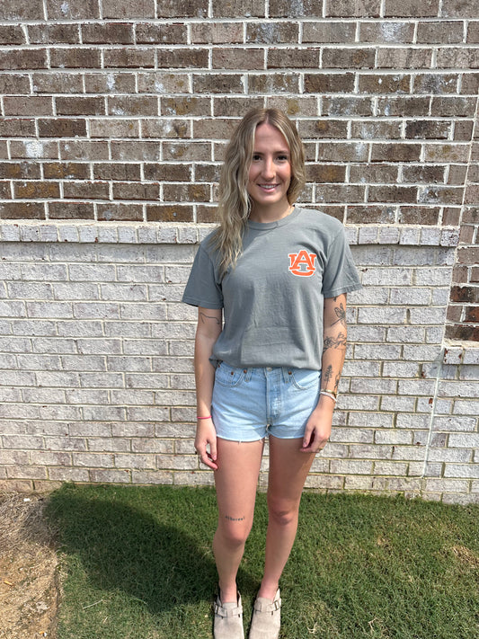 War Eagle Aubie Tee