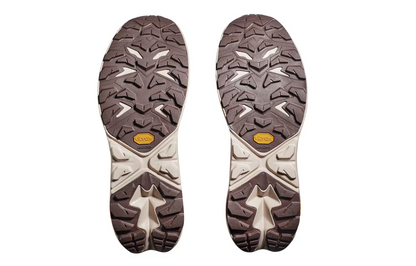 Men's Anacapa 2 Mid GTX