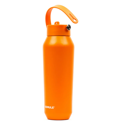 Sports Bottle