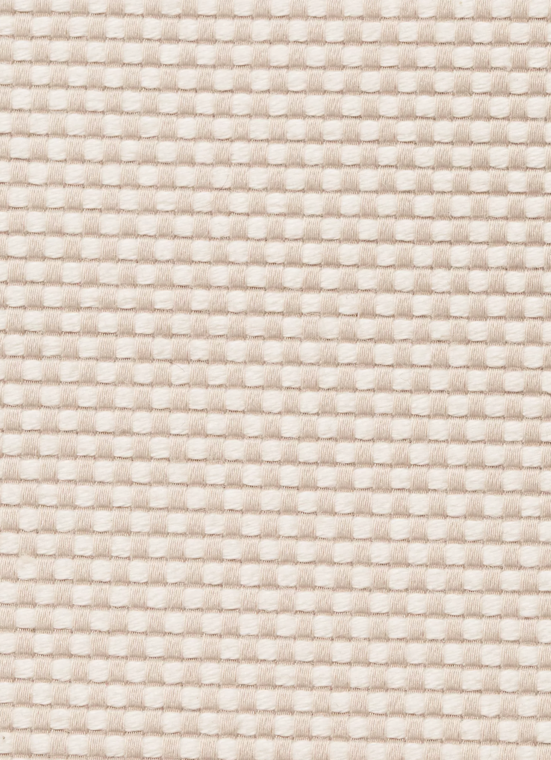 Two-Tone Canvas Tote Bag 10L