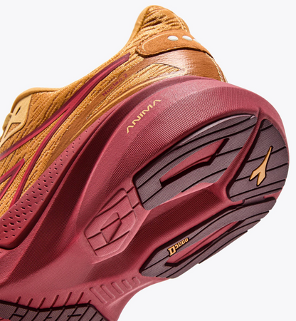 Women's Nucleo 2
