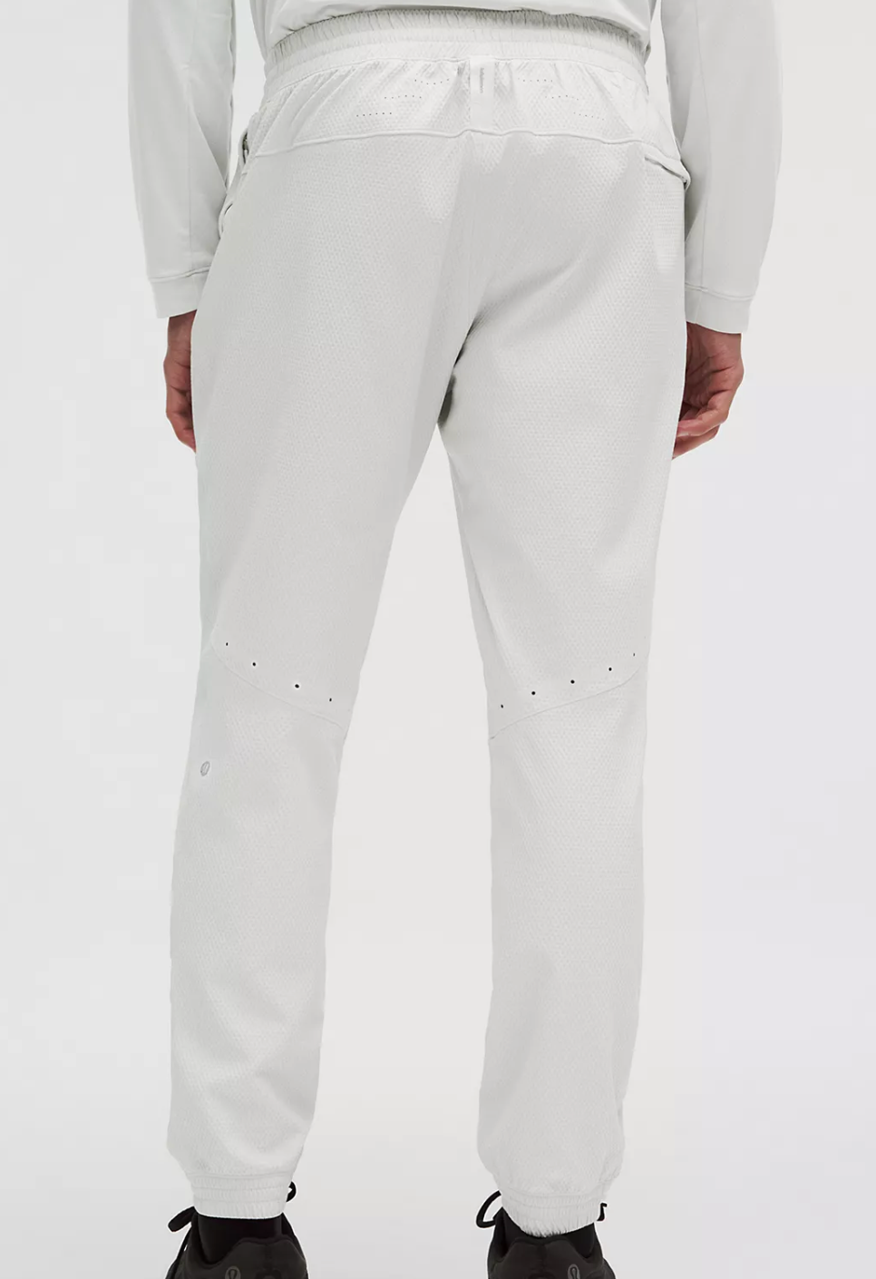 License To Train Textured Jogger* Regular